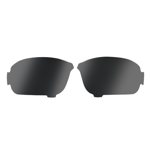 Oakley - Ersatzgläser für die Standard Issue Ballistic HNBL-Brille - Plutonite - Prizm Grey - 103-564-003 - Ersatzgläser